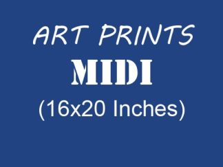 Midi (16"x20")